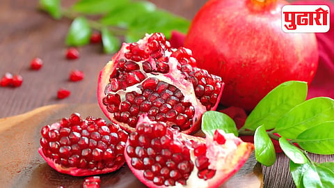 Pomegranate