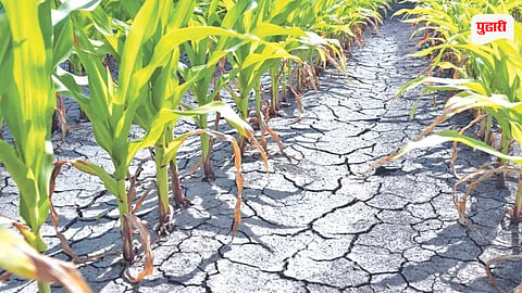 Maharashtra Drought Relief