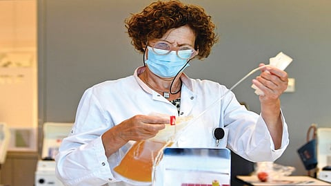 Viral Enzymes Help Bacteria Detect Attacks |