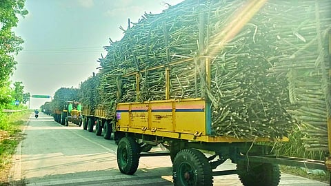 Sangli Sugarcane Transport Blocked : बावची फाट्यावर हुतात्माची ऊस वाहतूक रोखली