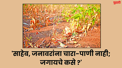 Latur news