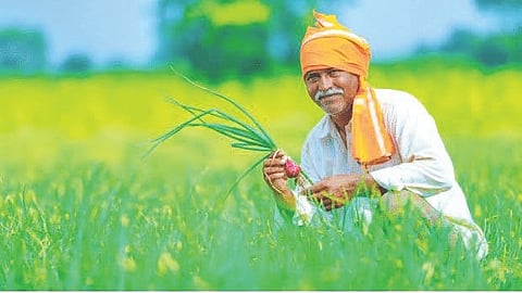 Farmer Loan Waiver 