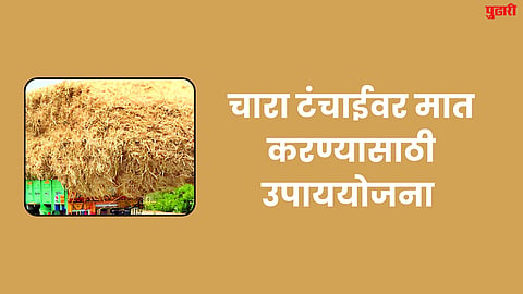 Fodder Shortage