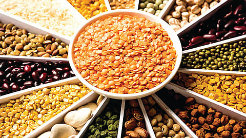 Rising Food Prices : तांदूळ वीस रूपयांनी तर डाळी दहा रूपयांनी महाग 