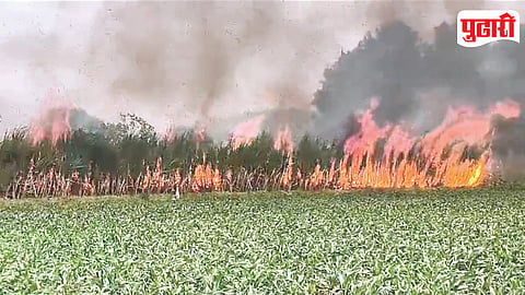 Sugarcane Field Fire