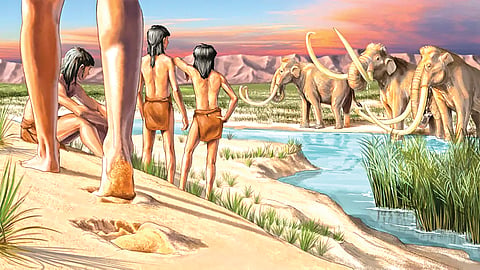 Ancient Human History |
