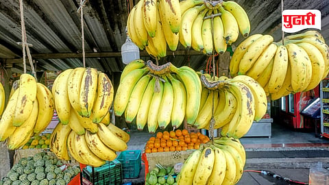 Palghar Banana Quality 