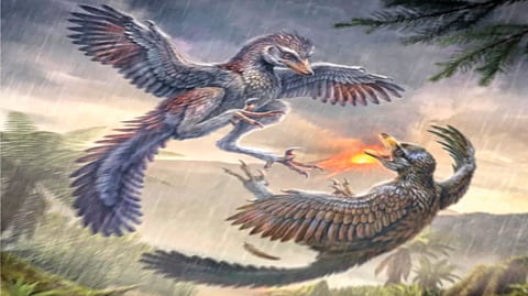 Jurassic-era Bird |