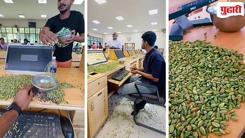 Cardamom Auction 