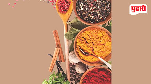 Loose Masala Sales Ban