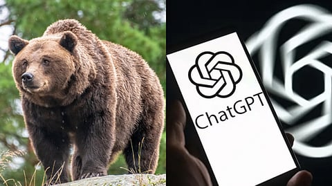 ChatGPT Bear Image |