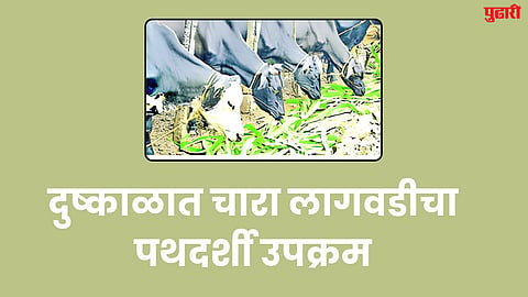 Latur News