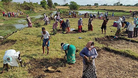 Chhatrapati Sambhajinagar news- दुष्काळात रोजगार हमी योजनेचा बोजवारा! १२३ ग्रामपंचायती कामाविना! 