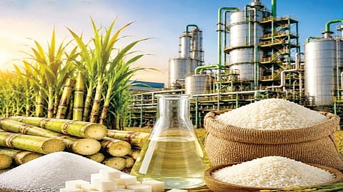 Sugarcane Price Dispute |