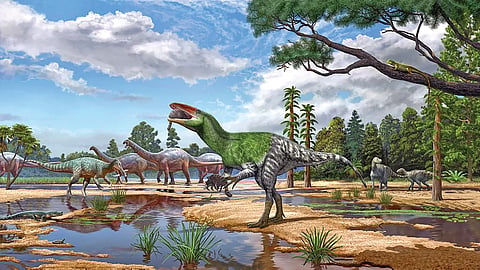 Unknown Dinosaur Fossils |
