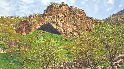Ancient Human Behaviour | 