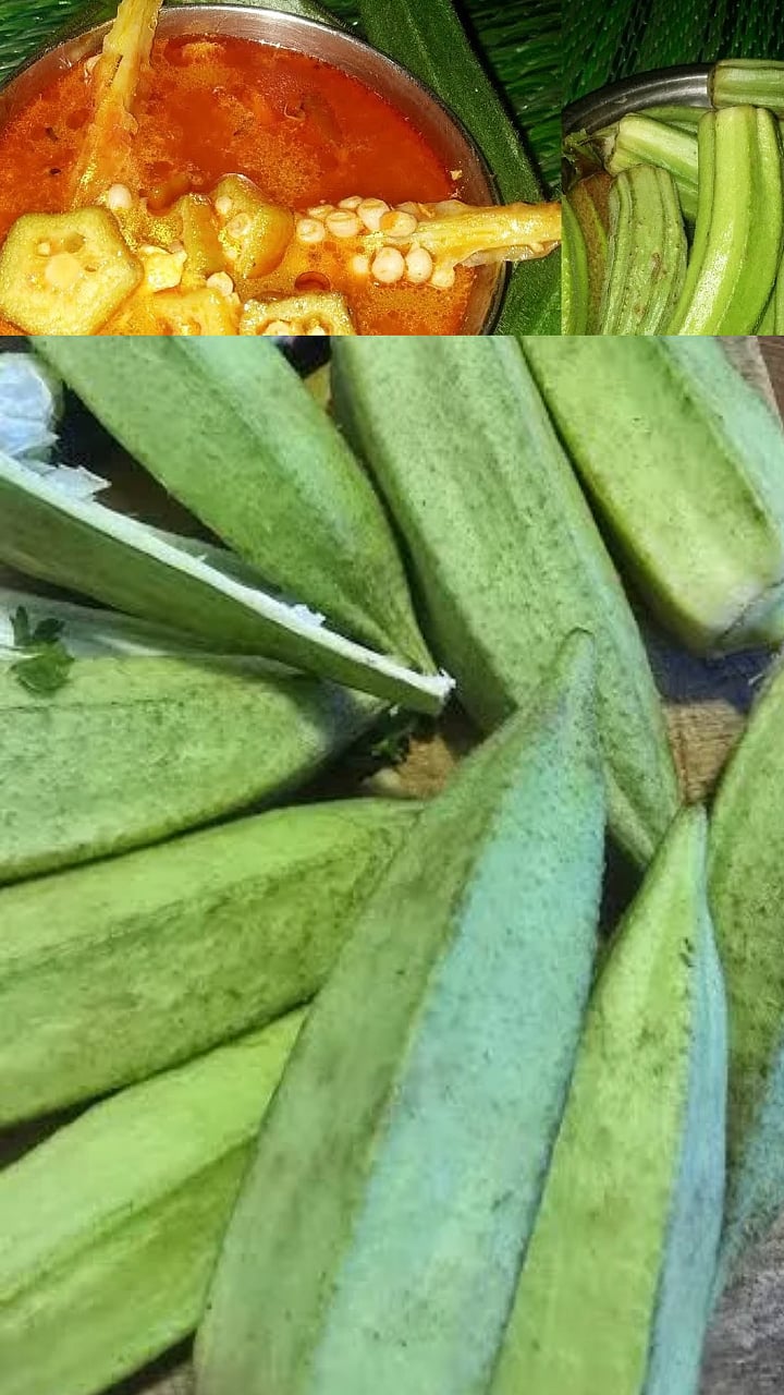 Wild Okra : काटे भेंडी, चवीला तर अस्सलच तसेच पचनसंस्थेसाठी एक नंबर!