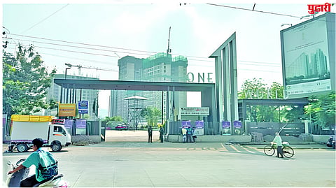 Commercial Project 