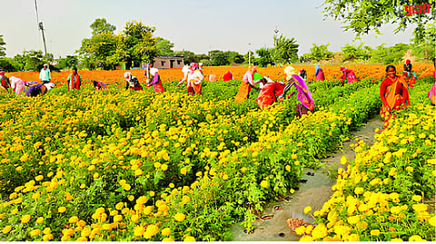 Jalna News