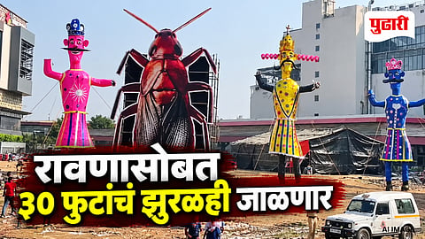 Dussehra Cockroach Effigy