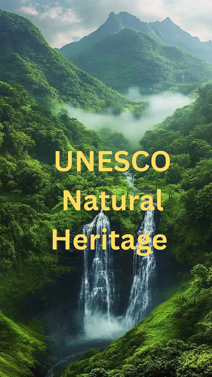 UNESCO Natural Heritage : या सौंदर्यांने नटलेल्या ७ स्थळांचा युनेस्कोने केला जागतिक वारस्थळांच्या यादीत समावेश!