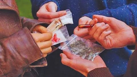 Goa Drug Trafficking