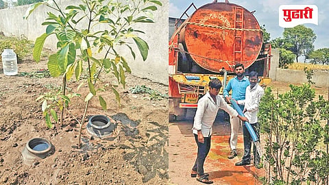 Environmental Awareness in Schools 