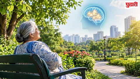 Living near green spaces can reduce dementia risk reveals new study. 