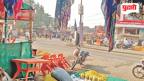 Marigold Price Crash