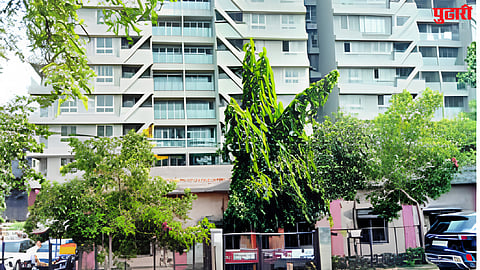 Sambhajinagar News