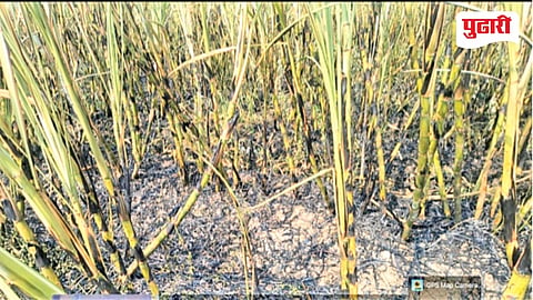 Jalna Short Circuit Farm Fire