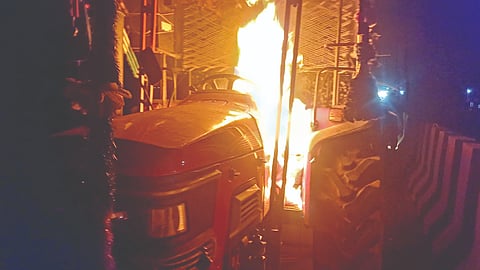 Sangli Sugarcane Potest
