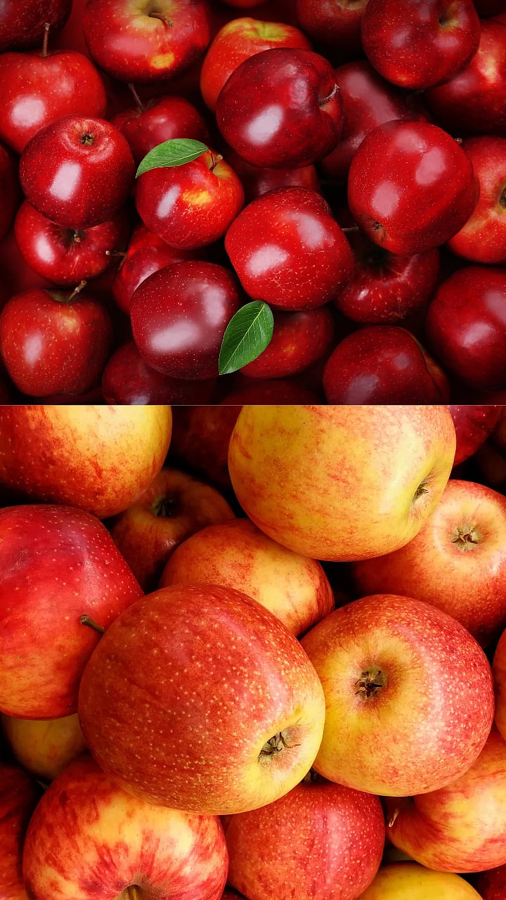 Apple Fact : कोणते सफरचंद योग्य देशी की विदेशी ? विकत घेताना कोणत्‍या गोष्टींची काळजी घ्यावी