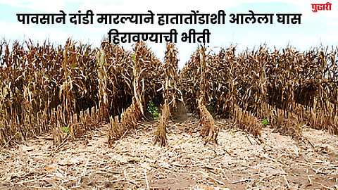 Jalna Drought