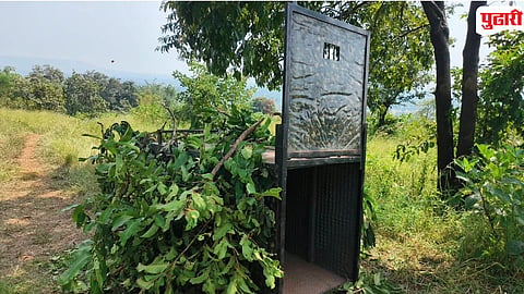 Kolhapur Forest Department