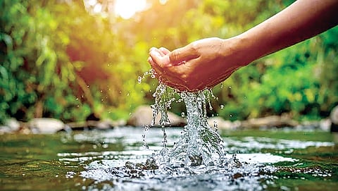 Water Saving Tips | 