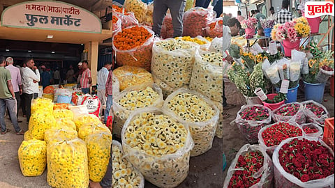 Kolhapur News : दसरा संपताच फुलांचे भाव मातीमोल! झेंडू-निशिगंधा १० रुपये किलो; तोडणीचा खर्चही निघेना, उत्पादक शेतकरी हवालदिल