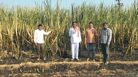 Jalna Sugarcane Fire