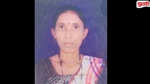 Chandrapur Tiger Attack : चंद्रपूर जिल्हा हादरला! सलग दुसऱ्या दिवशीही वाघाच्या हल्ल्यात महिला ठार