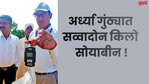 Dharashiv Drought News : अर्ध्या गुंठ्यात सव्वादोन किलो सोयाबीन !