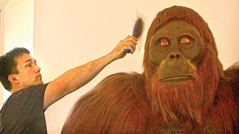 Gigantopithecus | 