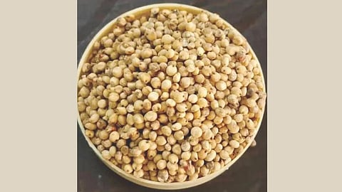 Food Prices Rise : शाळू ज्वारी ८०, तर गहू ५० रुपये किलो; रवा, मैदाही महागला