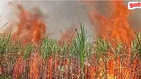  Chandgad Sugarcane Crop Fire