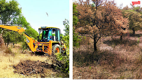 Jalna Drought