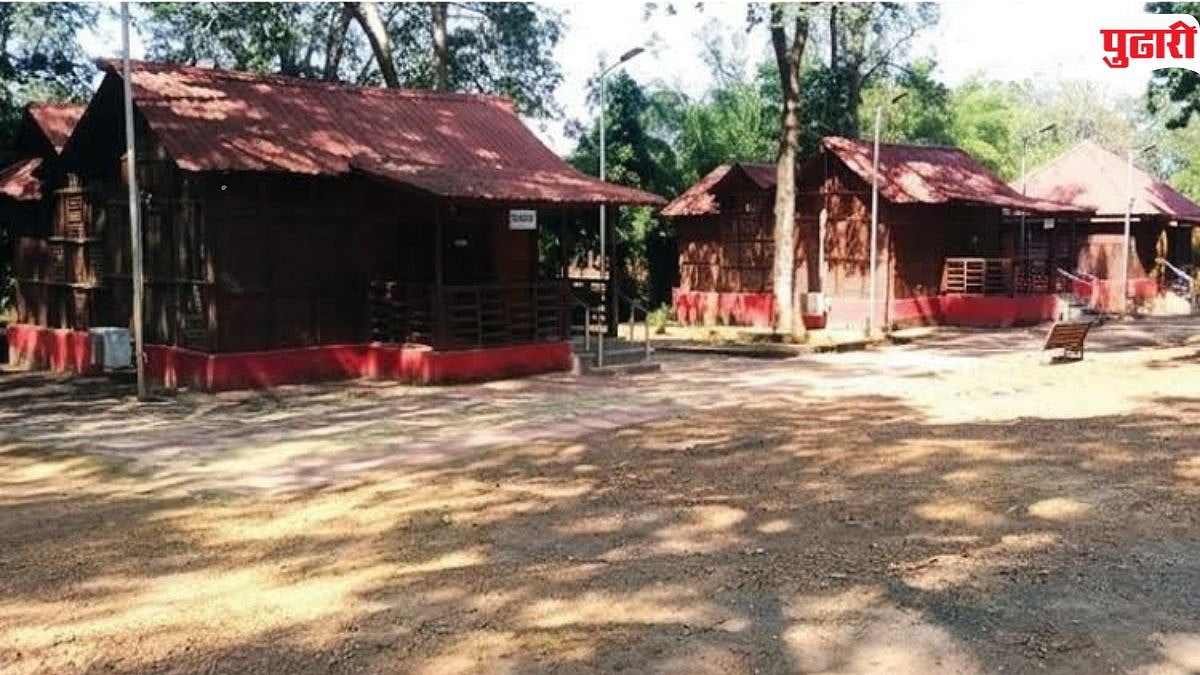 Navegaon Nagzira Tiger Reserve | कोका, नवेगावच्या जंगल सफारीसाठी निवासी कक्षांचे ऑनलाईन आरक्षण सुरू
