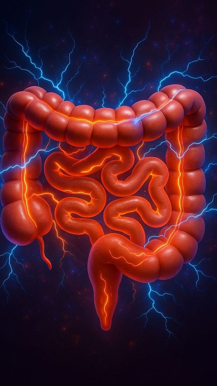 Grains For Digestion | पचनक्रिया सुधारण्यापासून बद्धकोष्ठतेपर्यंत; 'ही' धान्ये ठरतात उपयुक्त