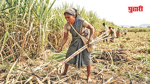 Jalna Sugarcane Workers