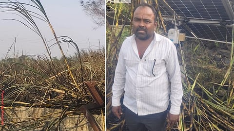 Purna Sugarcane Farm Fire
