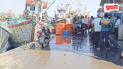 Raigad Fishing Industry