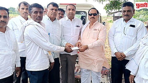 Injured Buffalo Dies Pangra Purna 